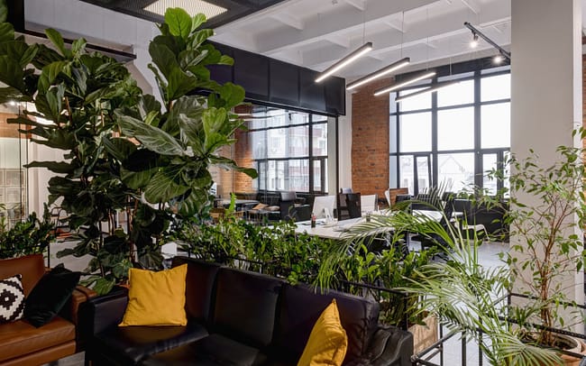 Green in the office is the last cry.